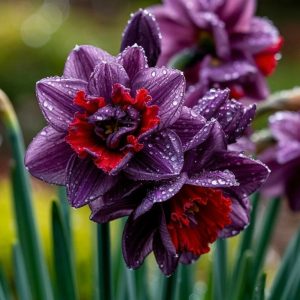 Нарцисс Минт Флер купить по цене от 2000р. в интернет-магазине «Посадика» с доставкой почтой в в Красногорске и по всей России – [изображение №1].