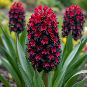 Гиацинт Джем Стоун купить по цене от 2099р. в интернет-магазине «Посадика» с доставкой почтой в в Красногорске и по всей России – [изображение №1].