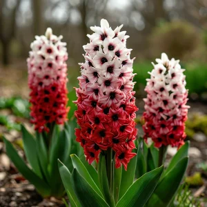 Гиацинт Скай Гарден купить по цене от 2099р. в интернет-магазине «Посадика» с доставкой почтой в в Красногорске и по всей России – [изображение №1].